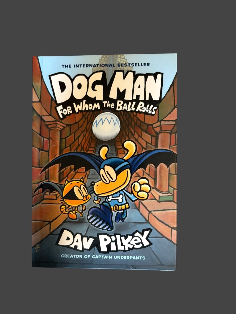 Dog Man Hardcover Book Set by Dav Pilkey - Picture 5 of 7